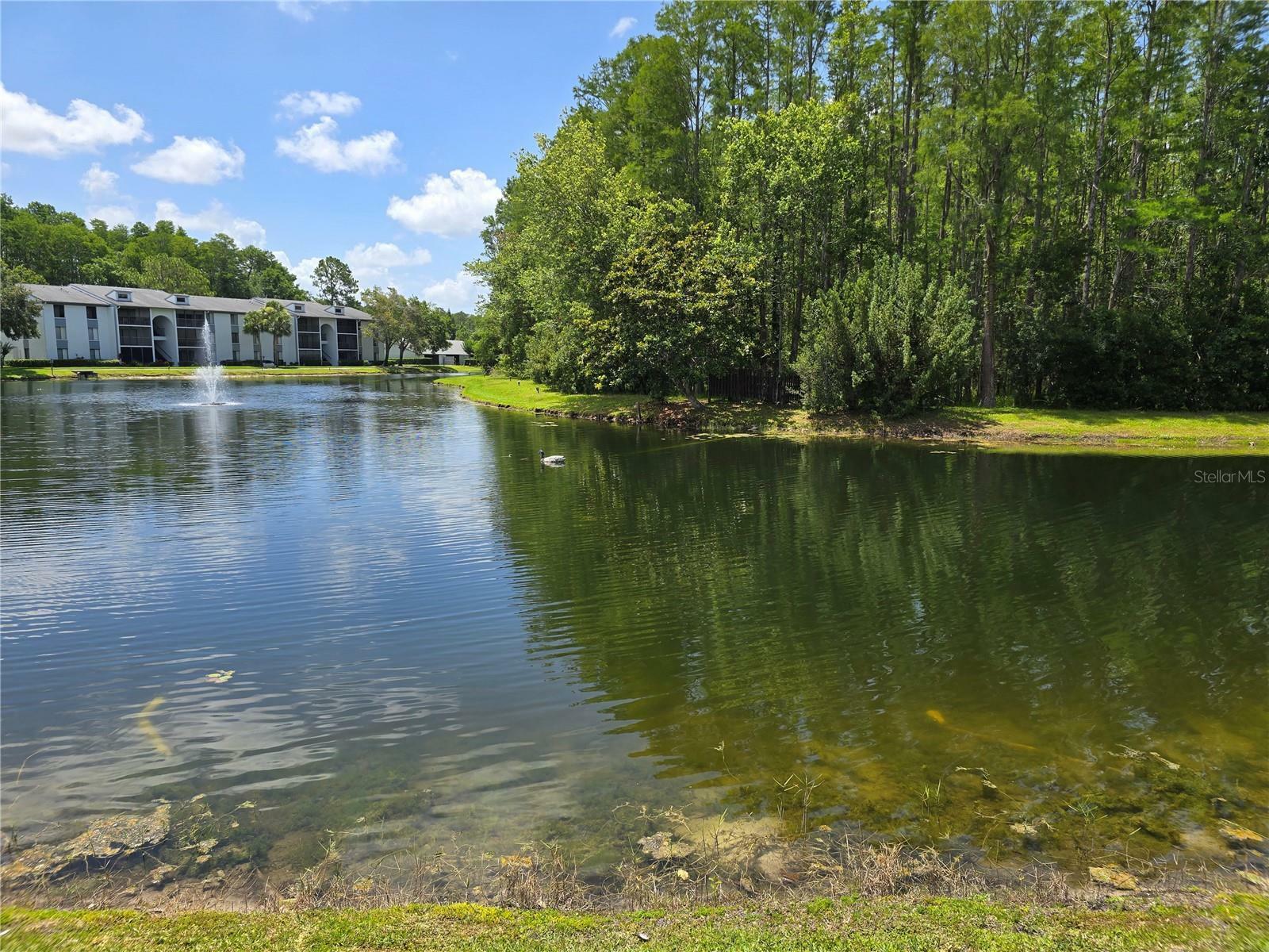 Property Photo: 1281 Pine Ridge Circle E B1 FL 34688