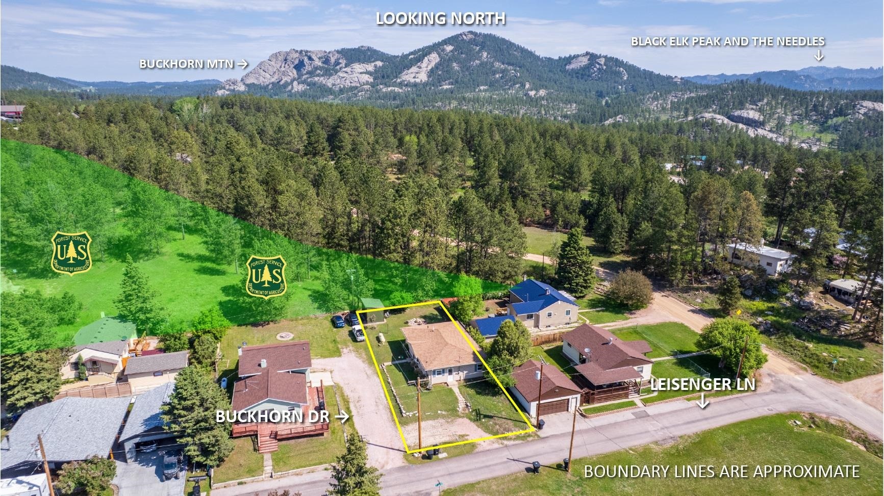 544 Buckhorn Drive  Custer SD 57730 photo