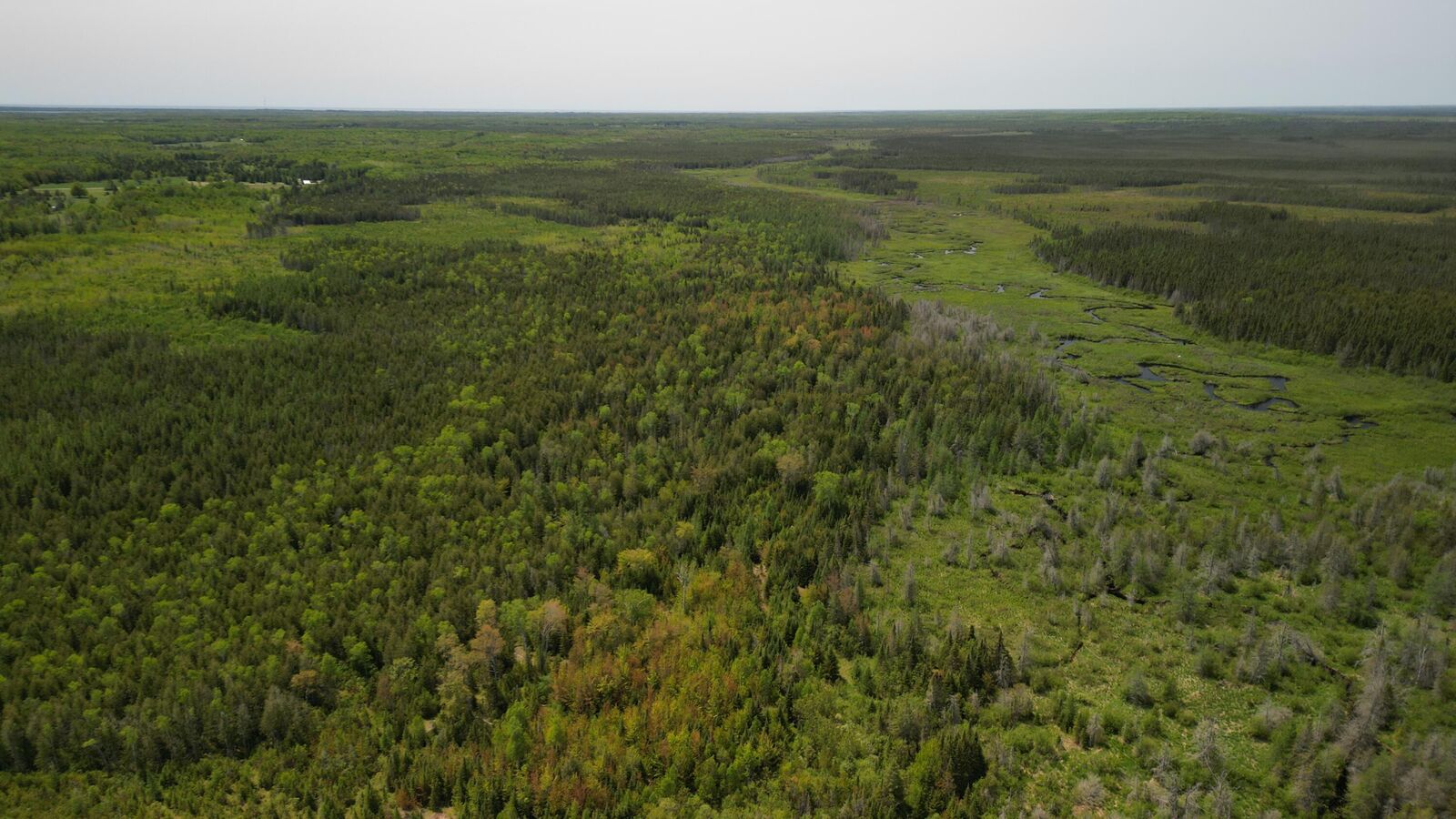 Property Photo:  609absec19t43nr13ws1/2ofse1/4  MI 49840 