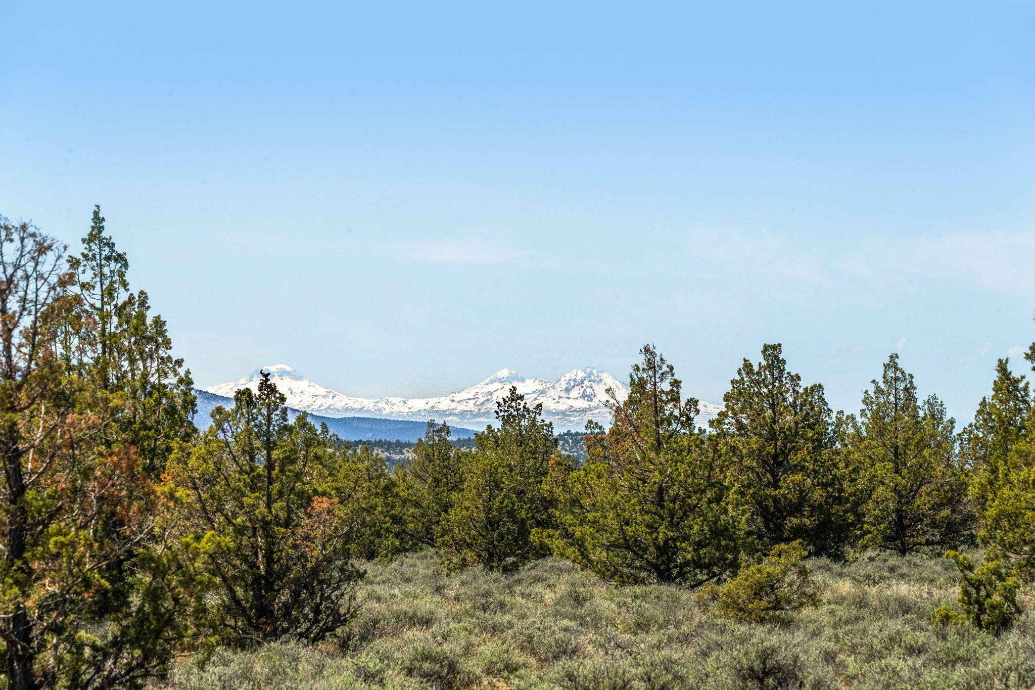 Property Photo: SE Bluebird Drive SE OR 97754