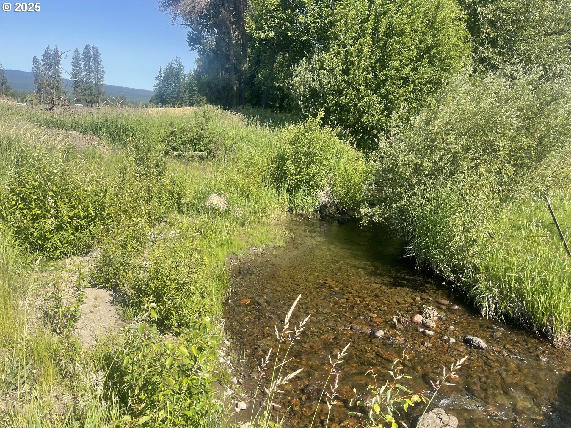 Property Photo: Mt. Adams Hwy Lot 1 WA 98619