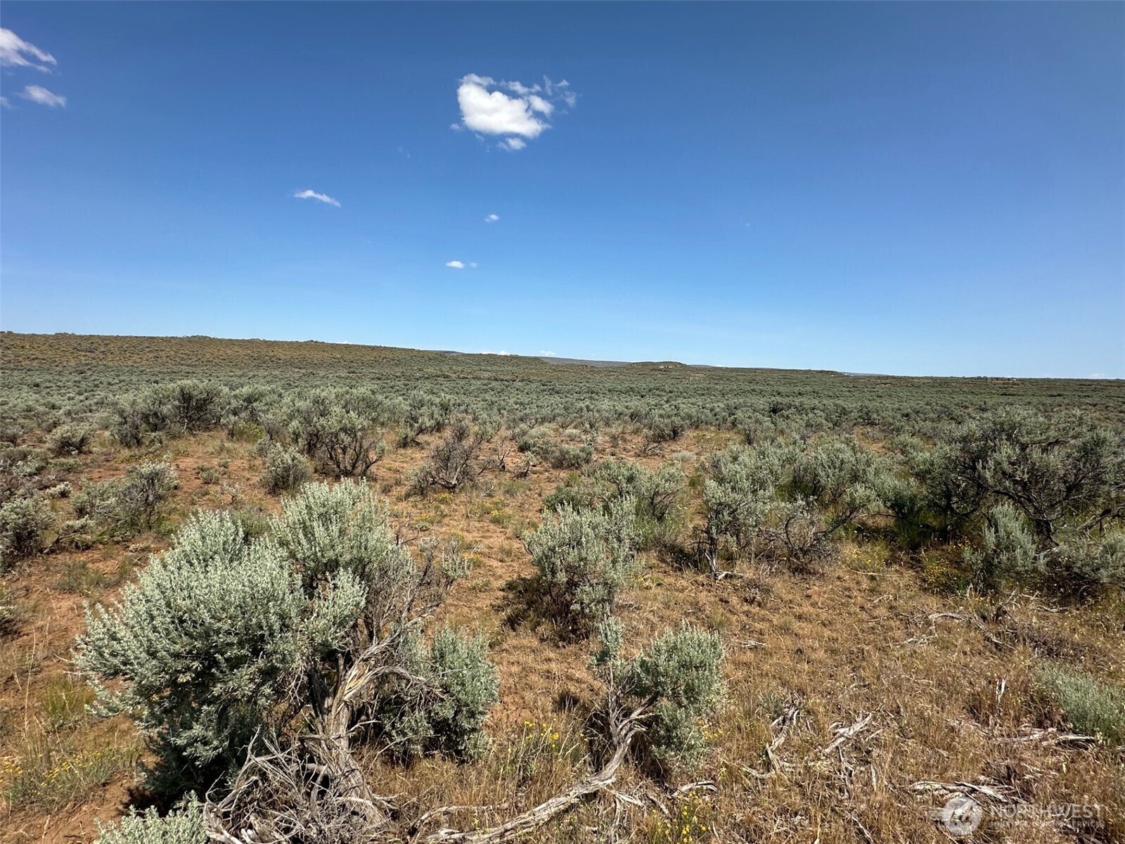 Property Photo: 5202 Texas Loop WA 98823