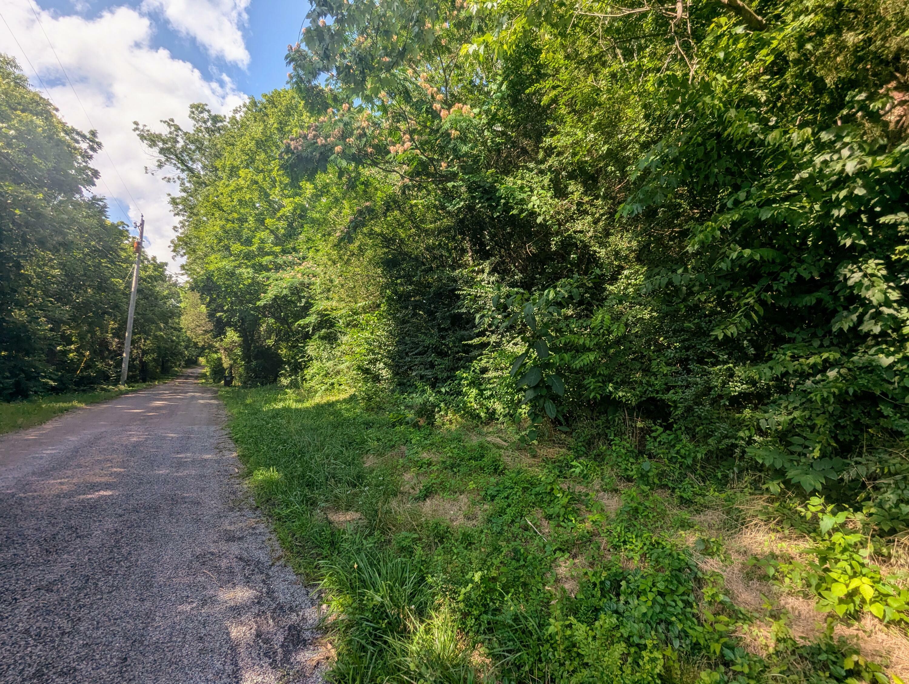 Property Photo: 0 County Road 493 TN 37331