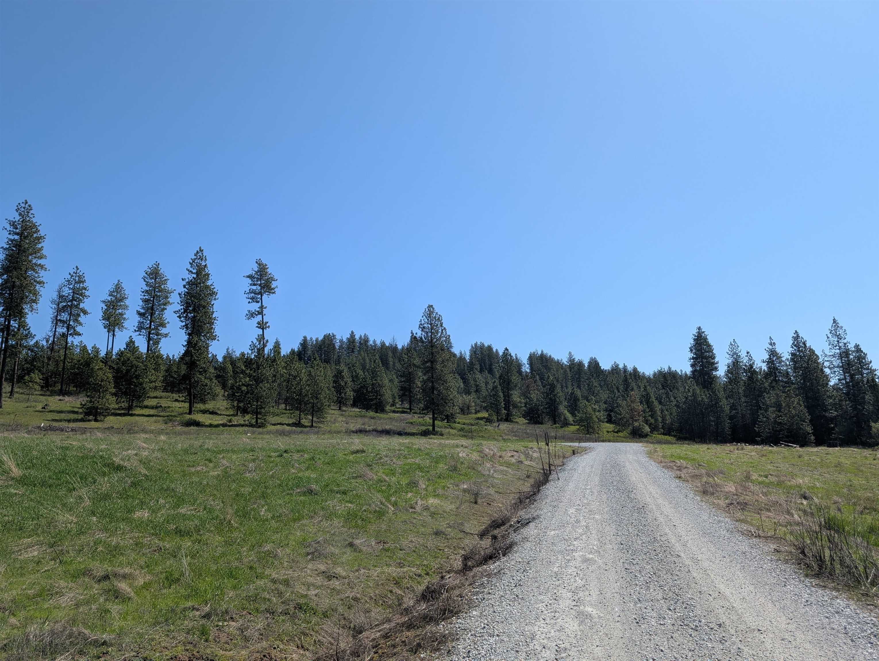 Property Photo: 400 Golden Sunset Way WA 99156