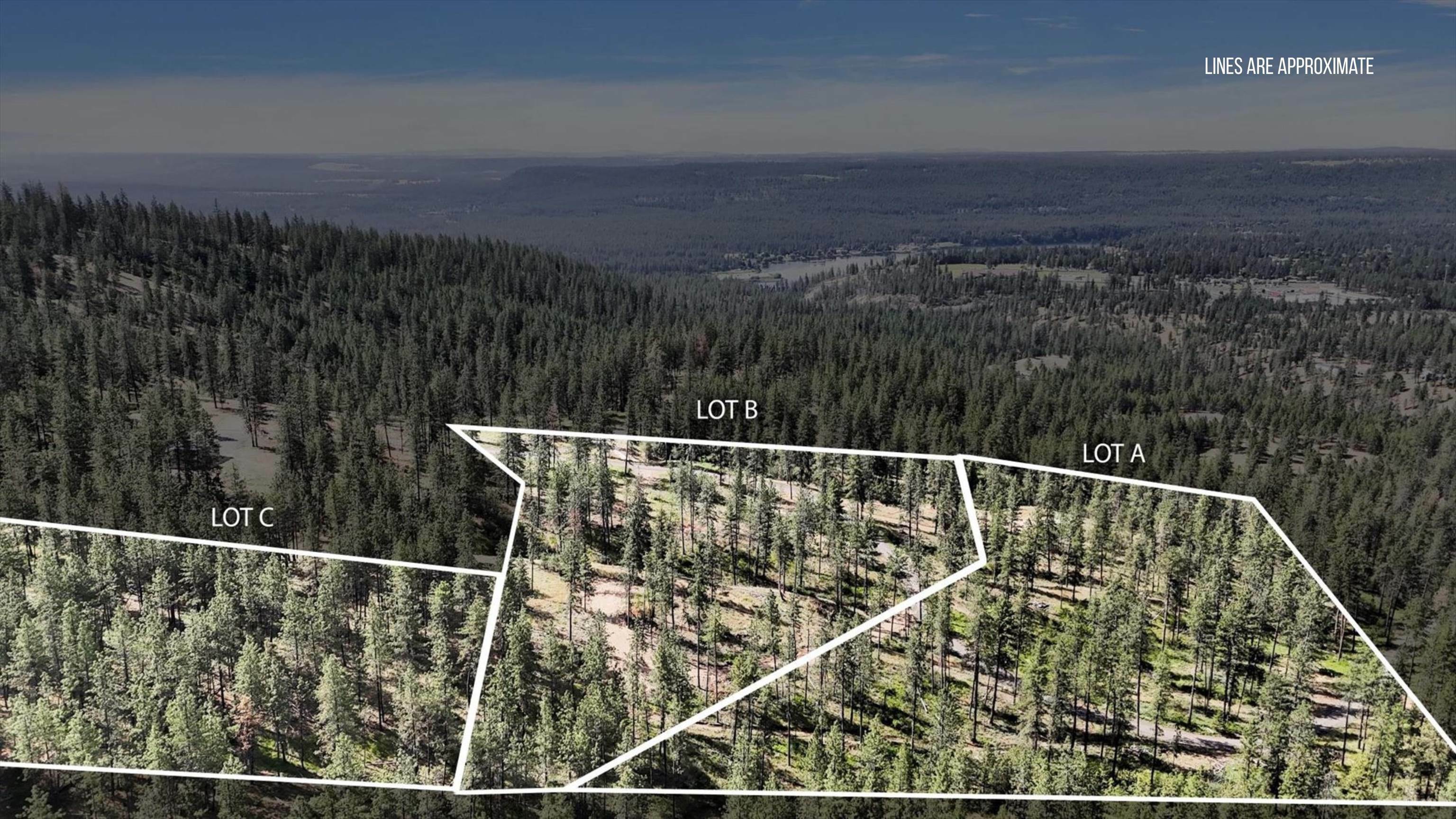Property Photo: Nka Lower Weaver Lots A, B, C Way WA 99006