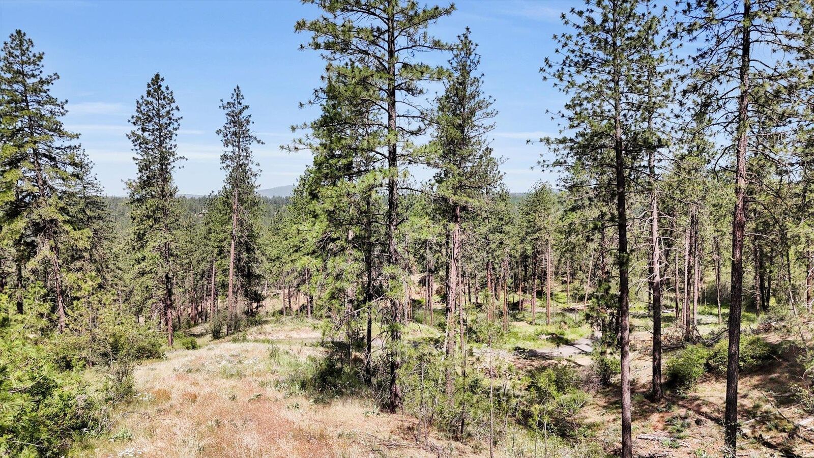 Property Photo: Nka Lower Weaver Lots A, B, C Way WA 99006