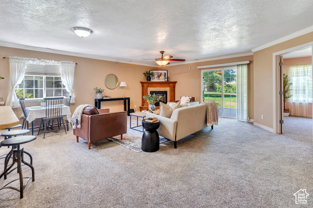 Property Photo: 1408 W Westbridge Dr S UT 84601