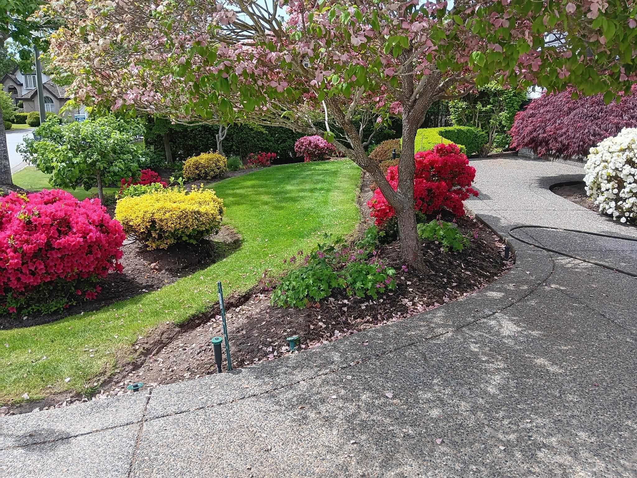 Property Photo: 16221 Morgan Creek Crescent BC V3S 0J2
