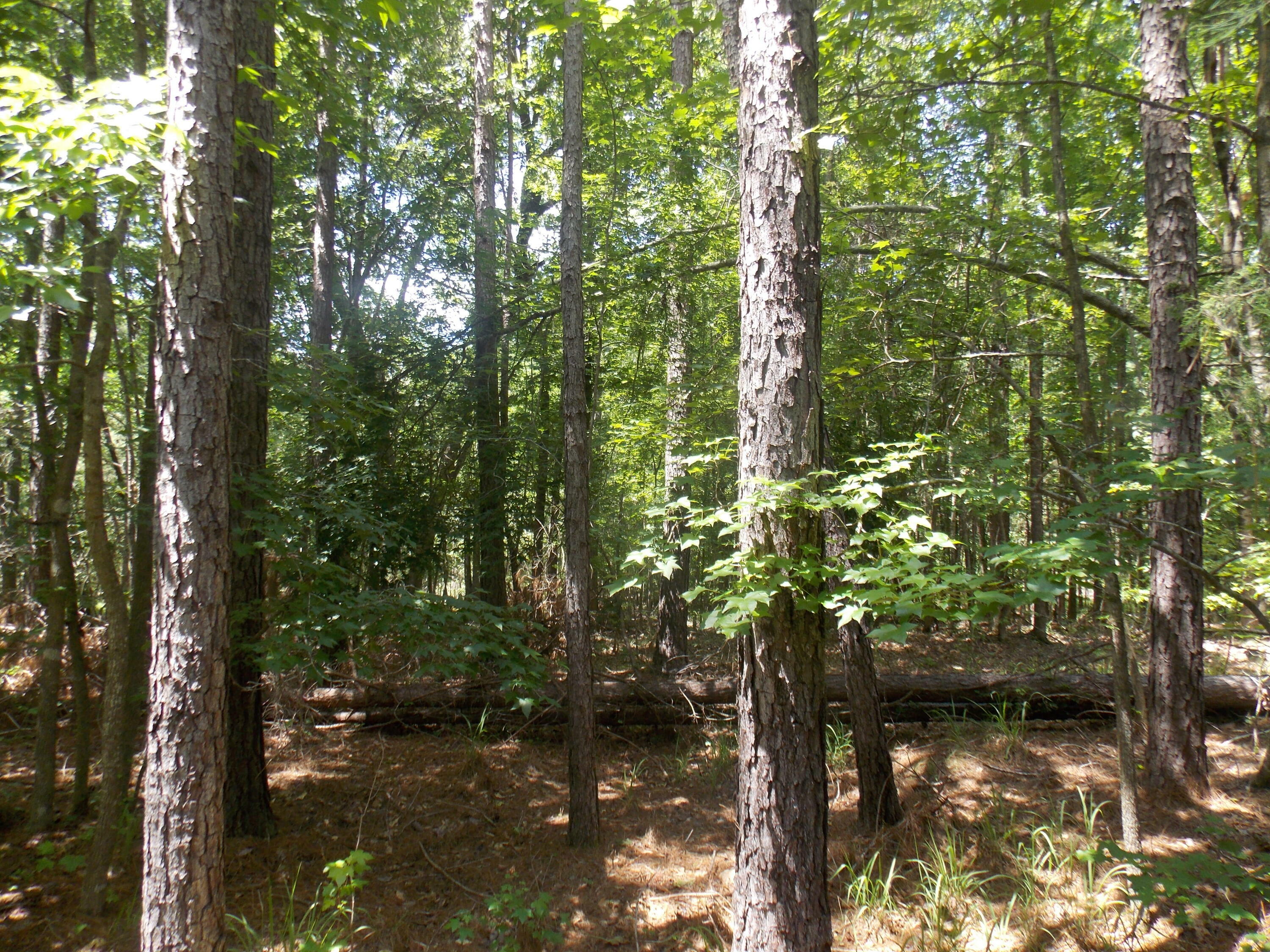 Property Photo:  1054 Pine Point Lane  GA 30668 