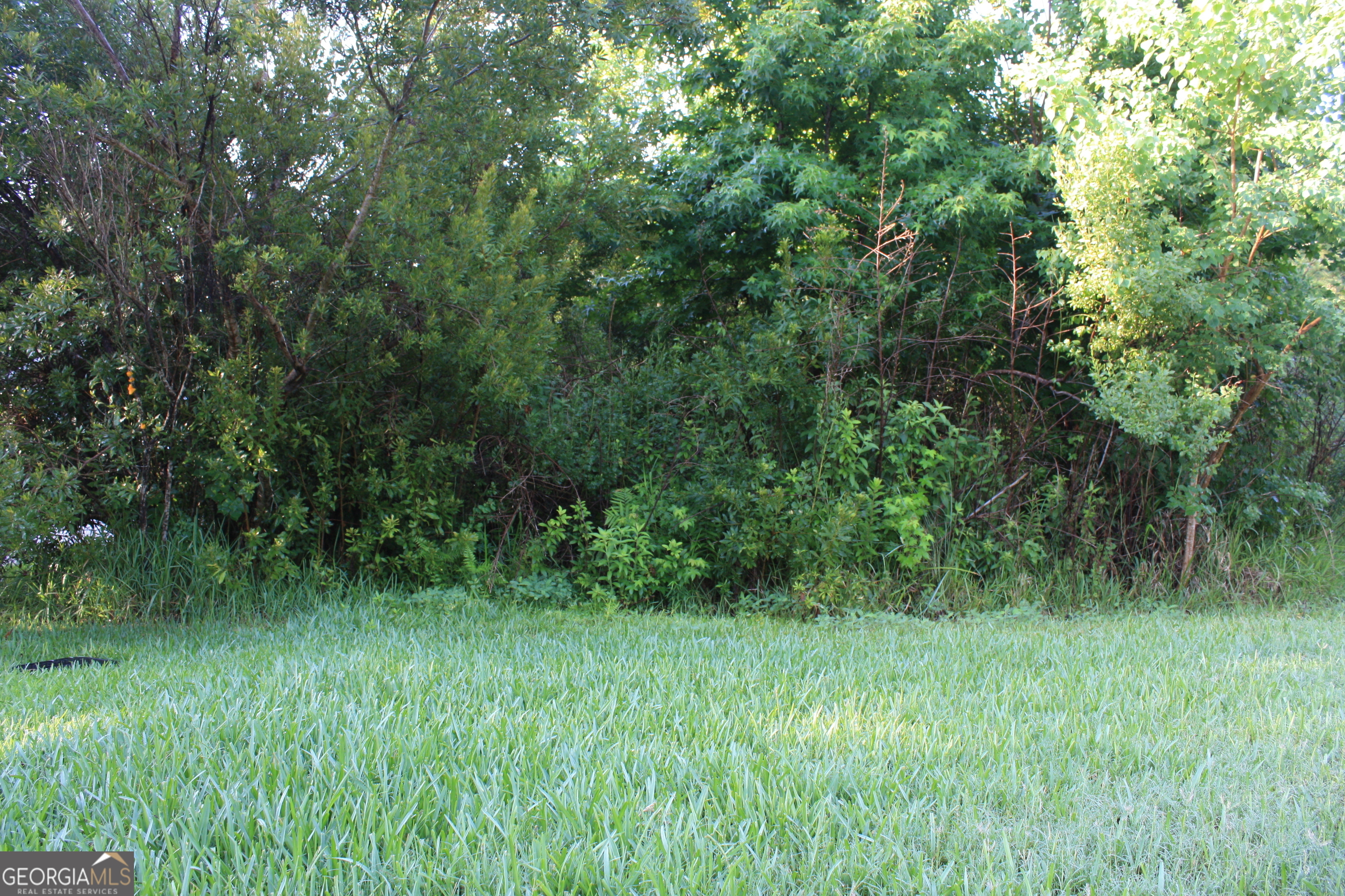 Property Photo: V/L 504 Holm Place GA 31558