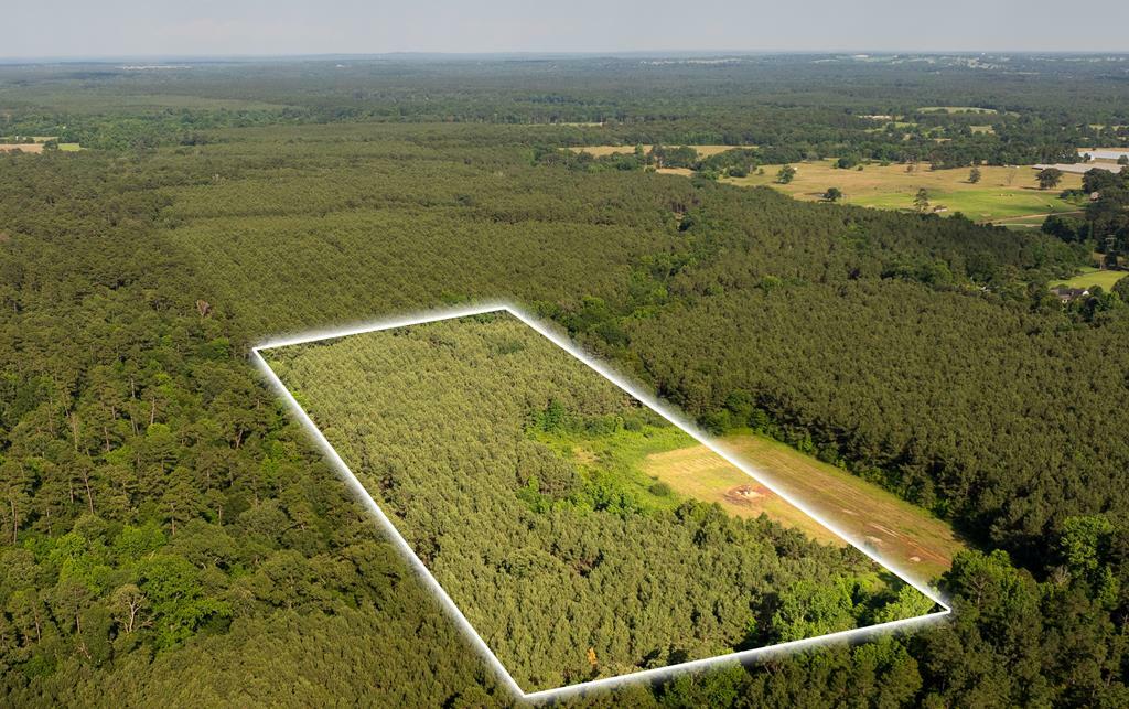 Property Photo:  Lot 1 County Road 837  TX 75964 