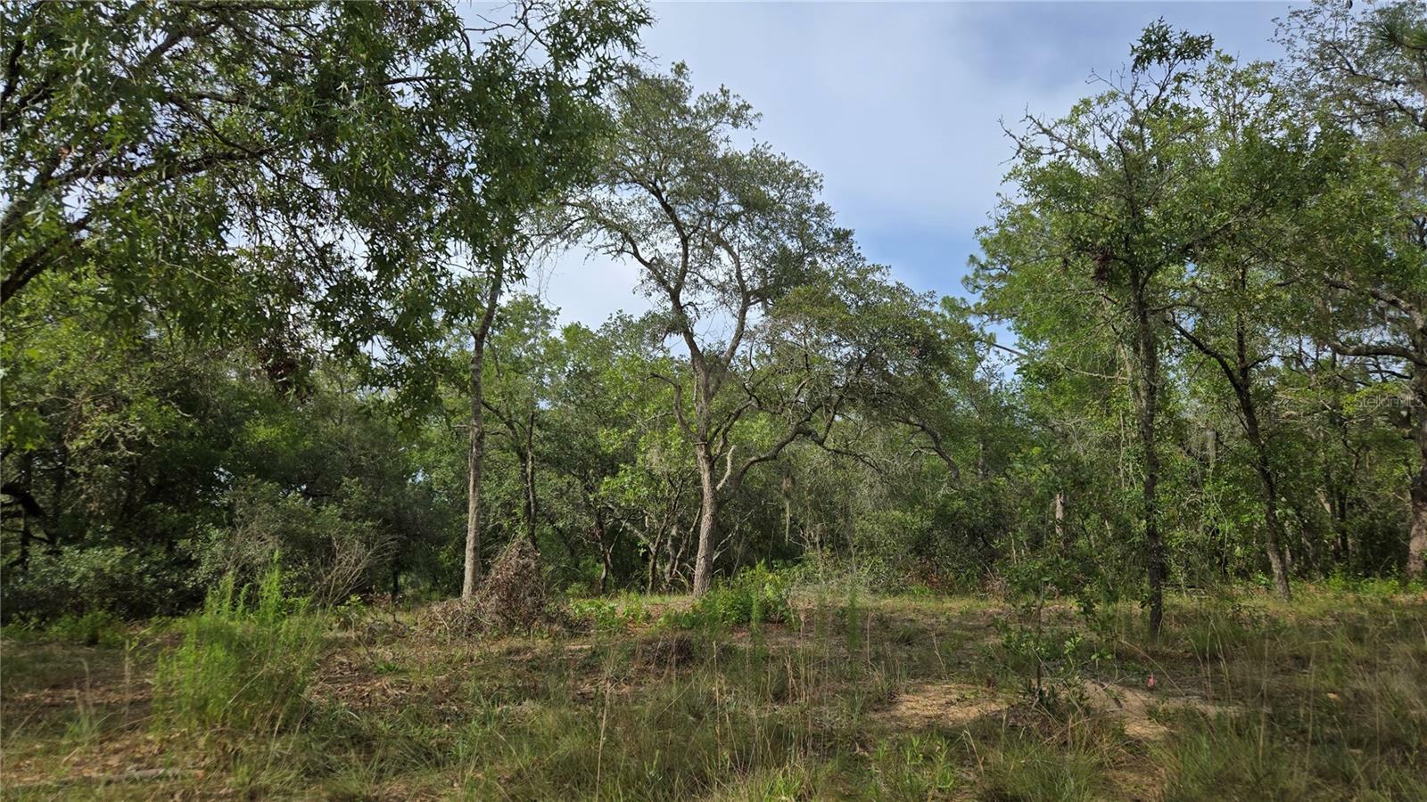 Property Photo: 4811 N Redwood Avenue FL 34442
