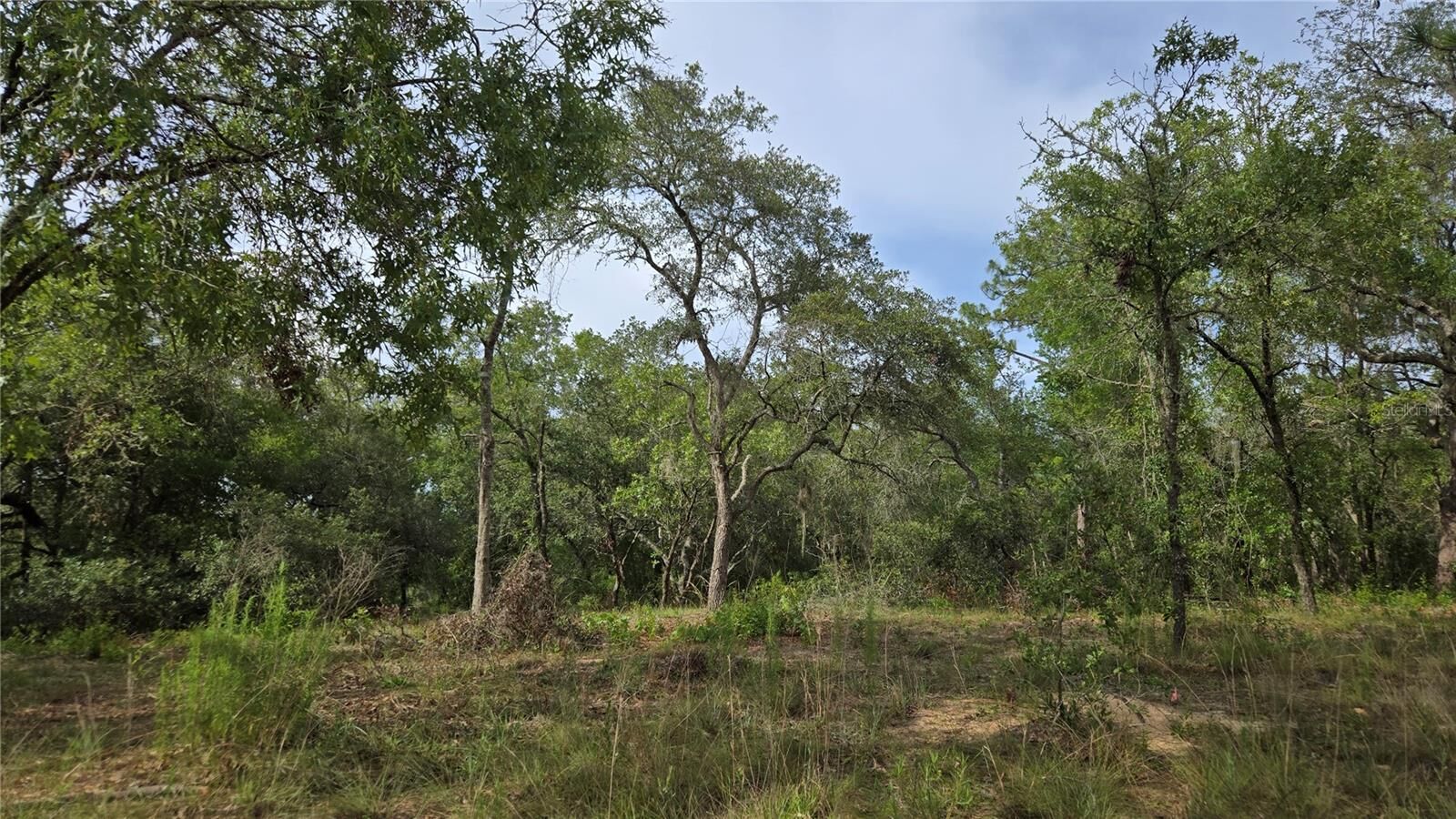 Property Photo:  4811 N Redwood Avenue  FL 34442 