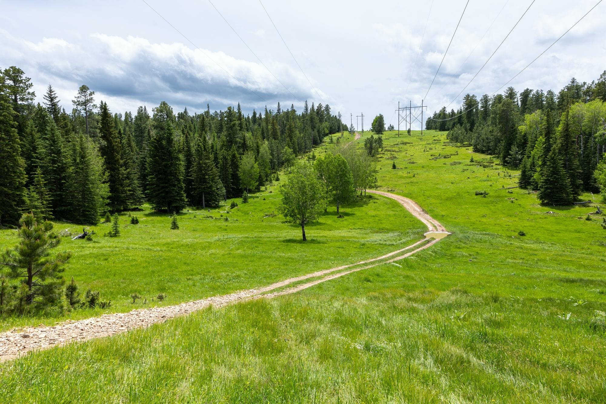 Property Photo: 256.87 Acres Yellow Creek Road SD 57754