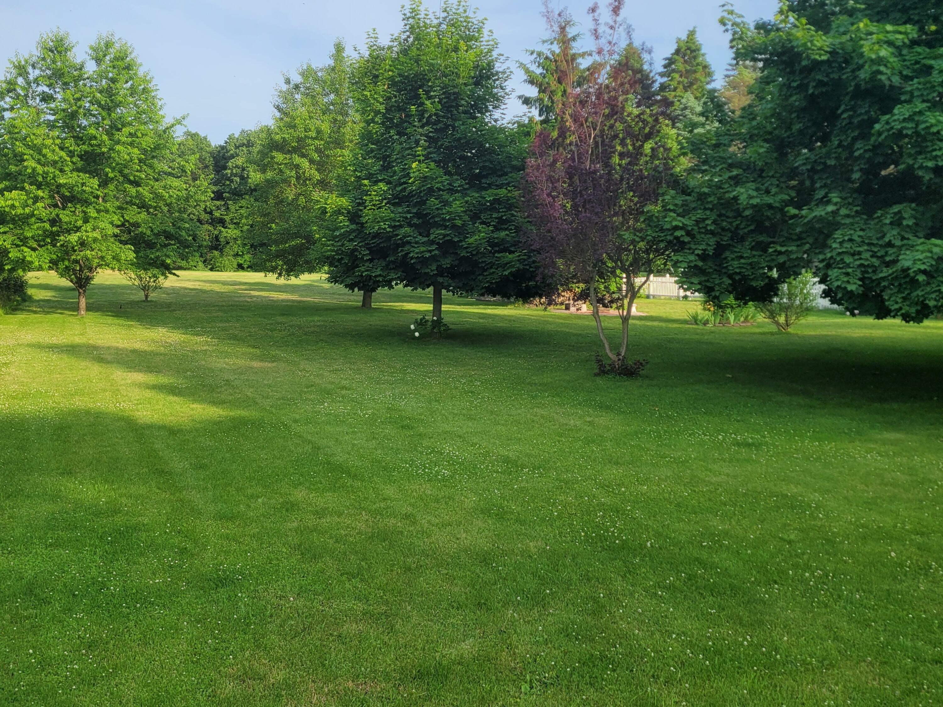 Property Photo:  10041 Brooklawn Court  MI 49249 