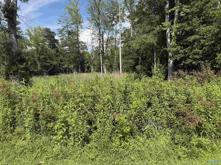 Property Photo: 1 Clairvaux Drive AL 35901