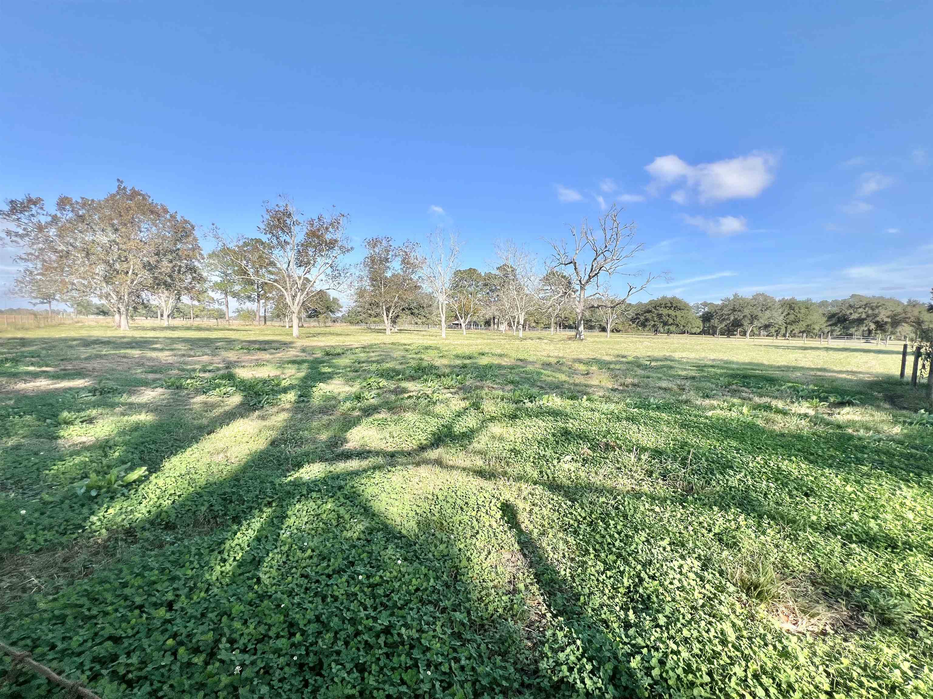 Property Photo: 0000 Hwy 73 TX 77665