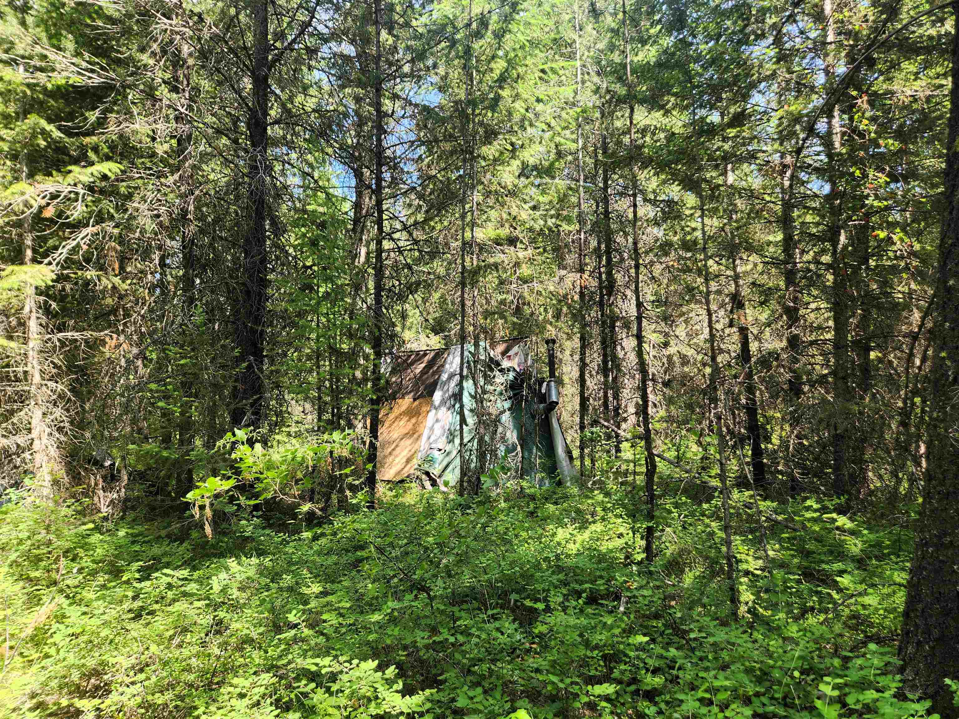 Property Photo: 4711 X Springdale Hunters Rd WA 99173
