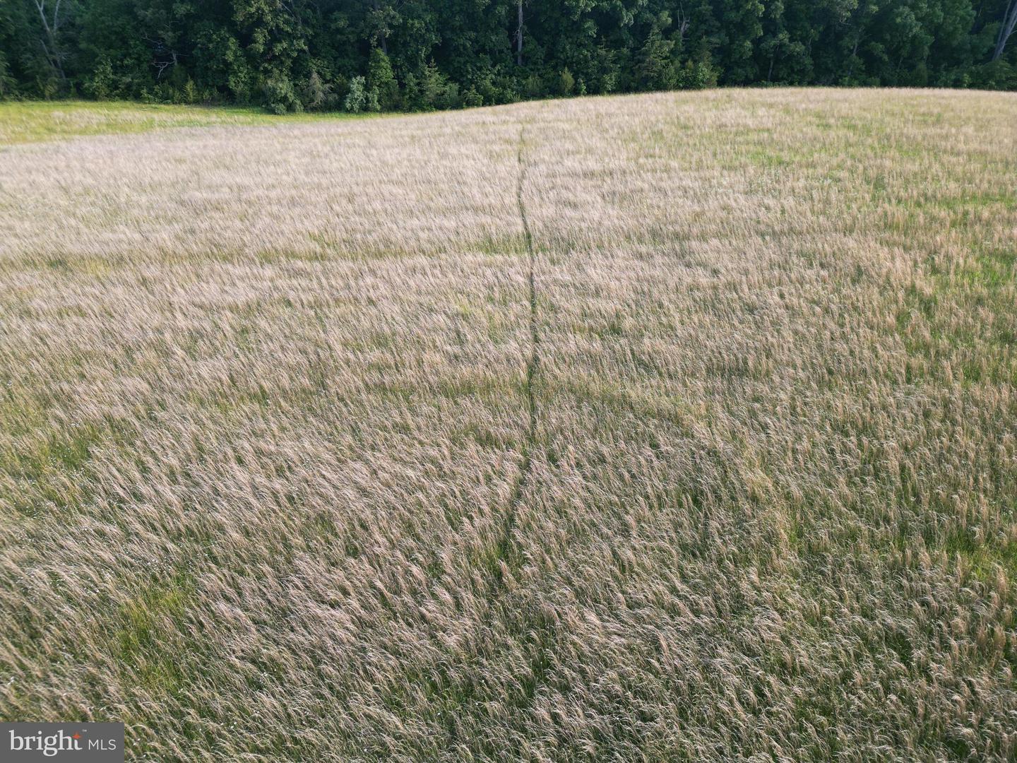 Property Photo: Tract B Giles Mill Road WV 25413