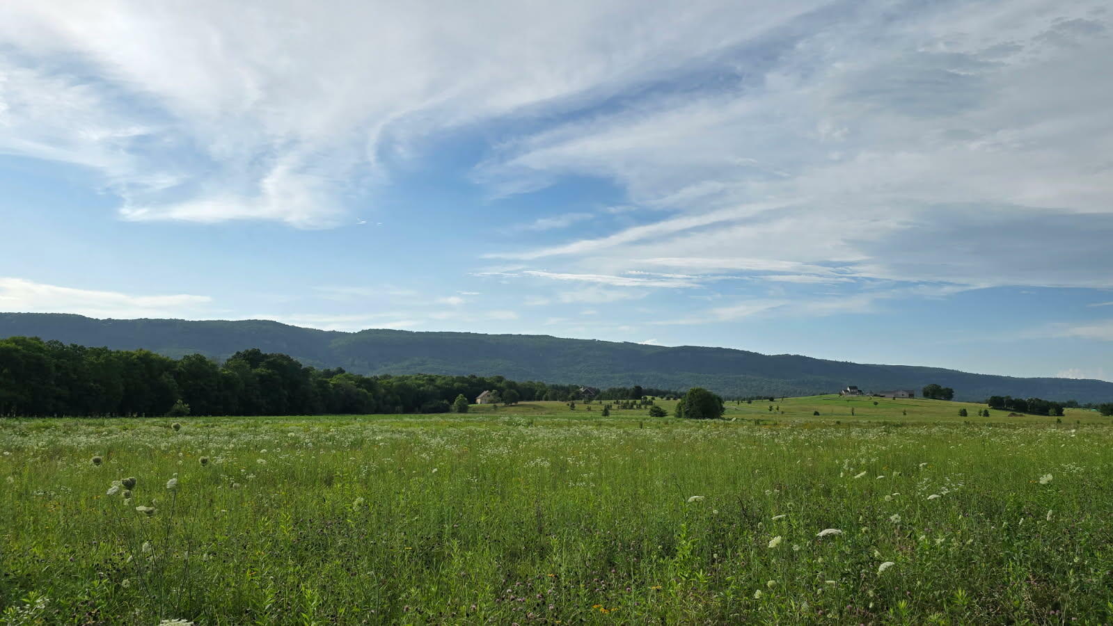 Property Photo: 123 River Ridge Dr TN 37327