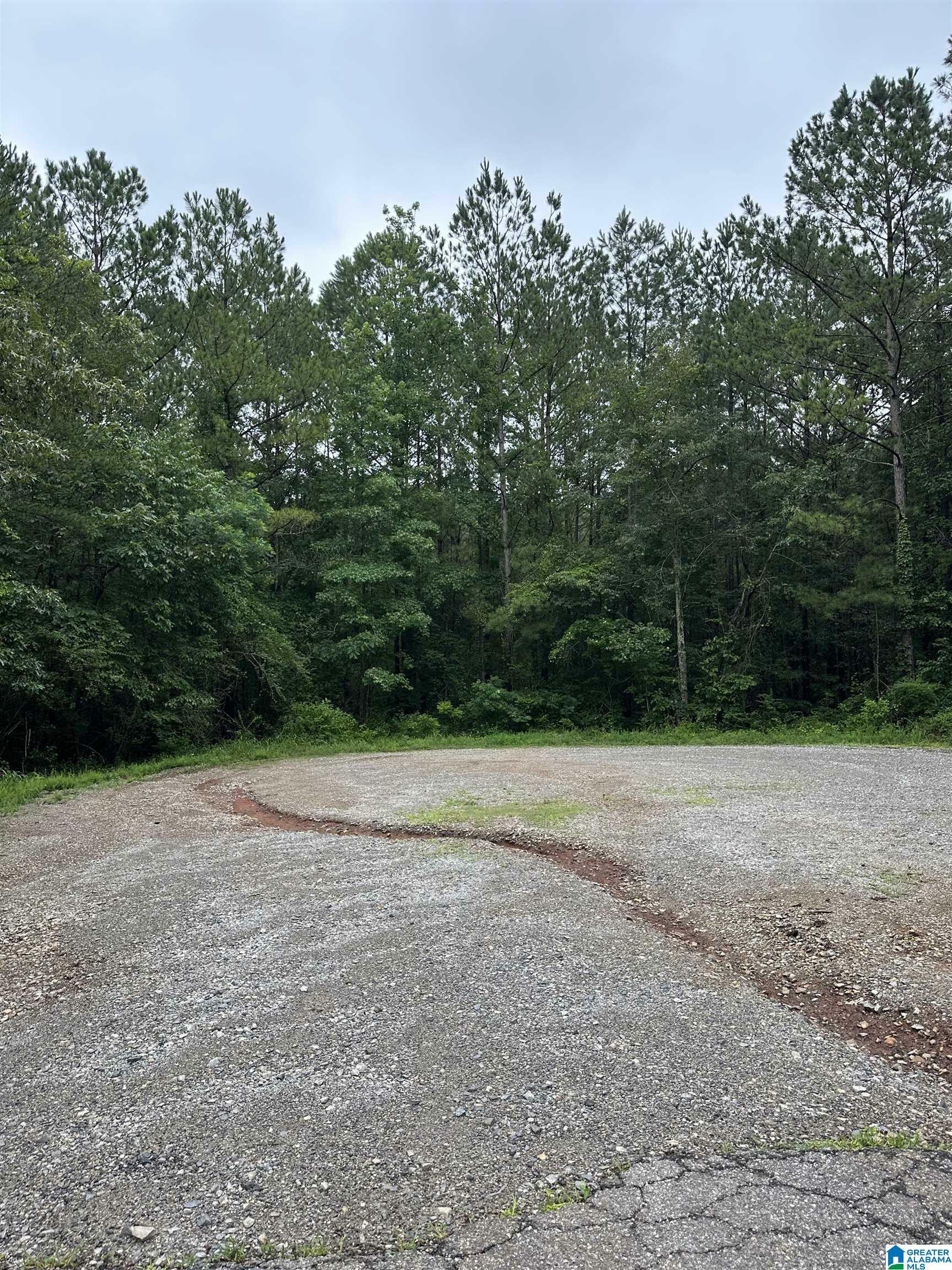 Property Photo: 0 Stonegate Circle None AL 35096