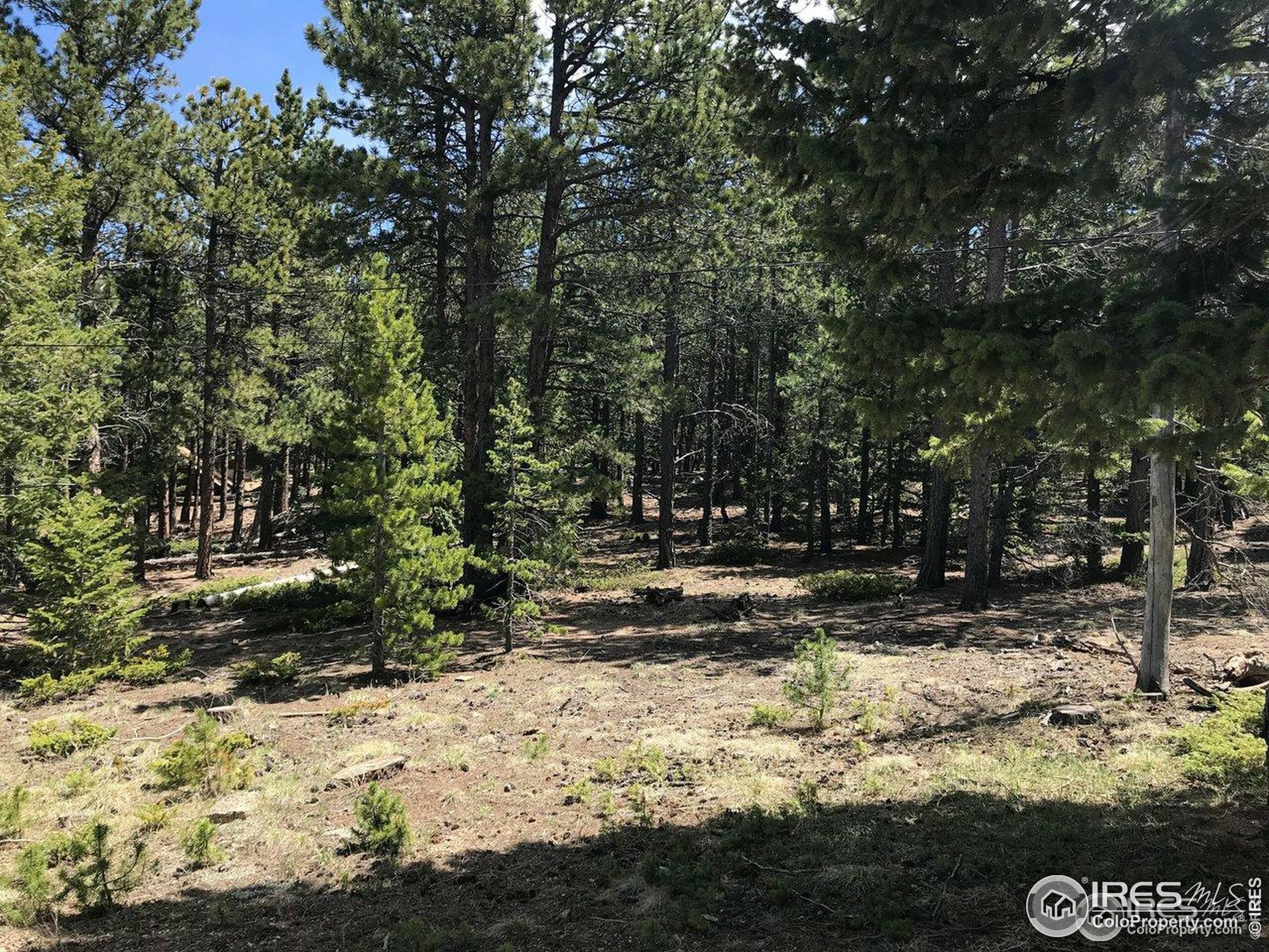 Property Photo: 575 Ranch Rd CO 80481