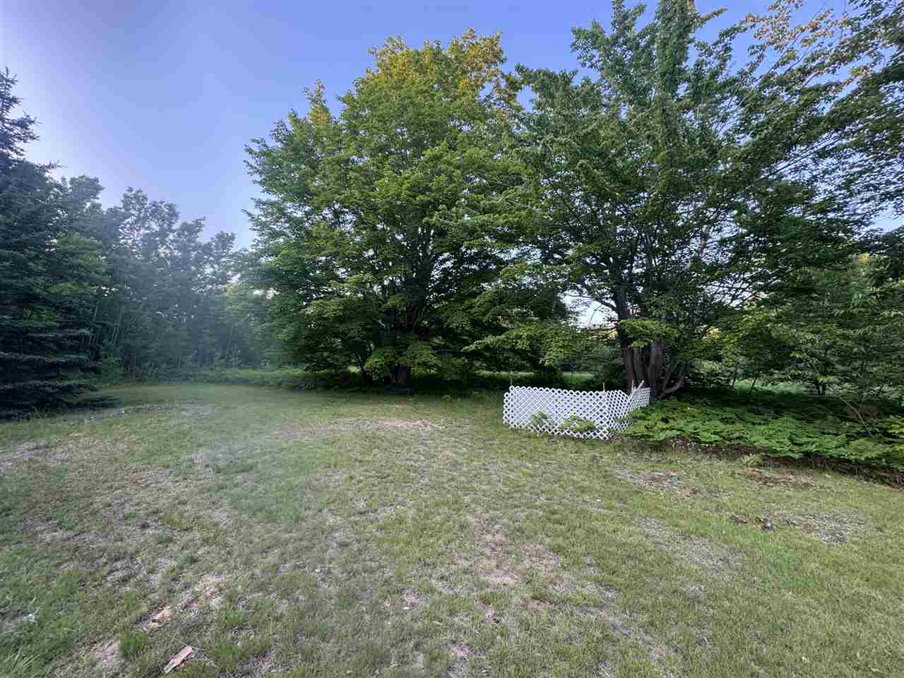 Property Photo: 10590 N Hayes MI 49718