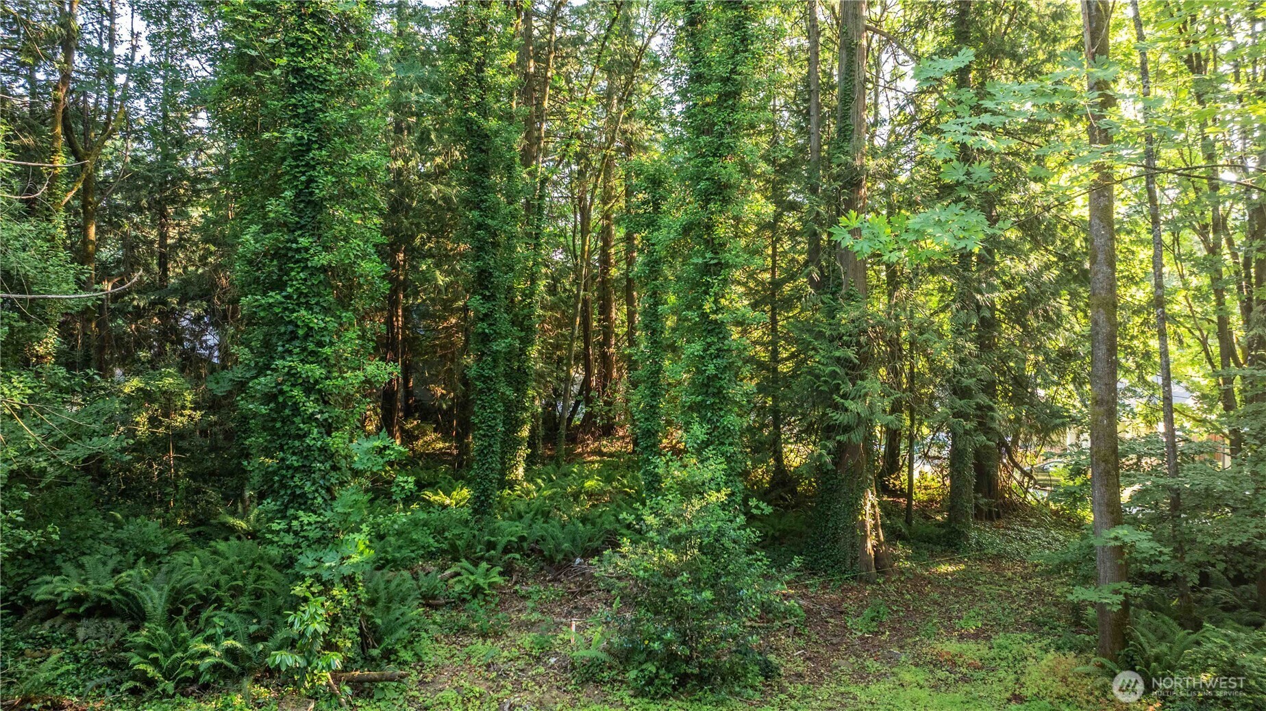 0  Brentwood Drive  Bremerton WA 98312 photo