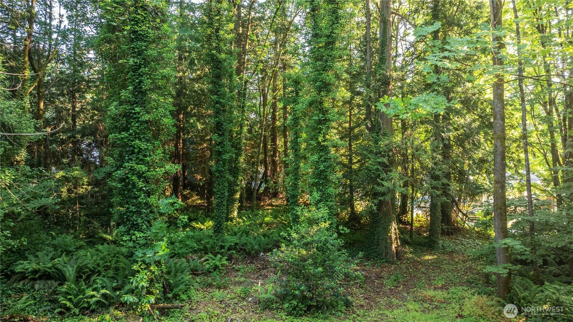 Property Photo:  0  Brentwood Drive  WA 98312 
