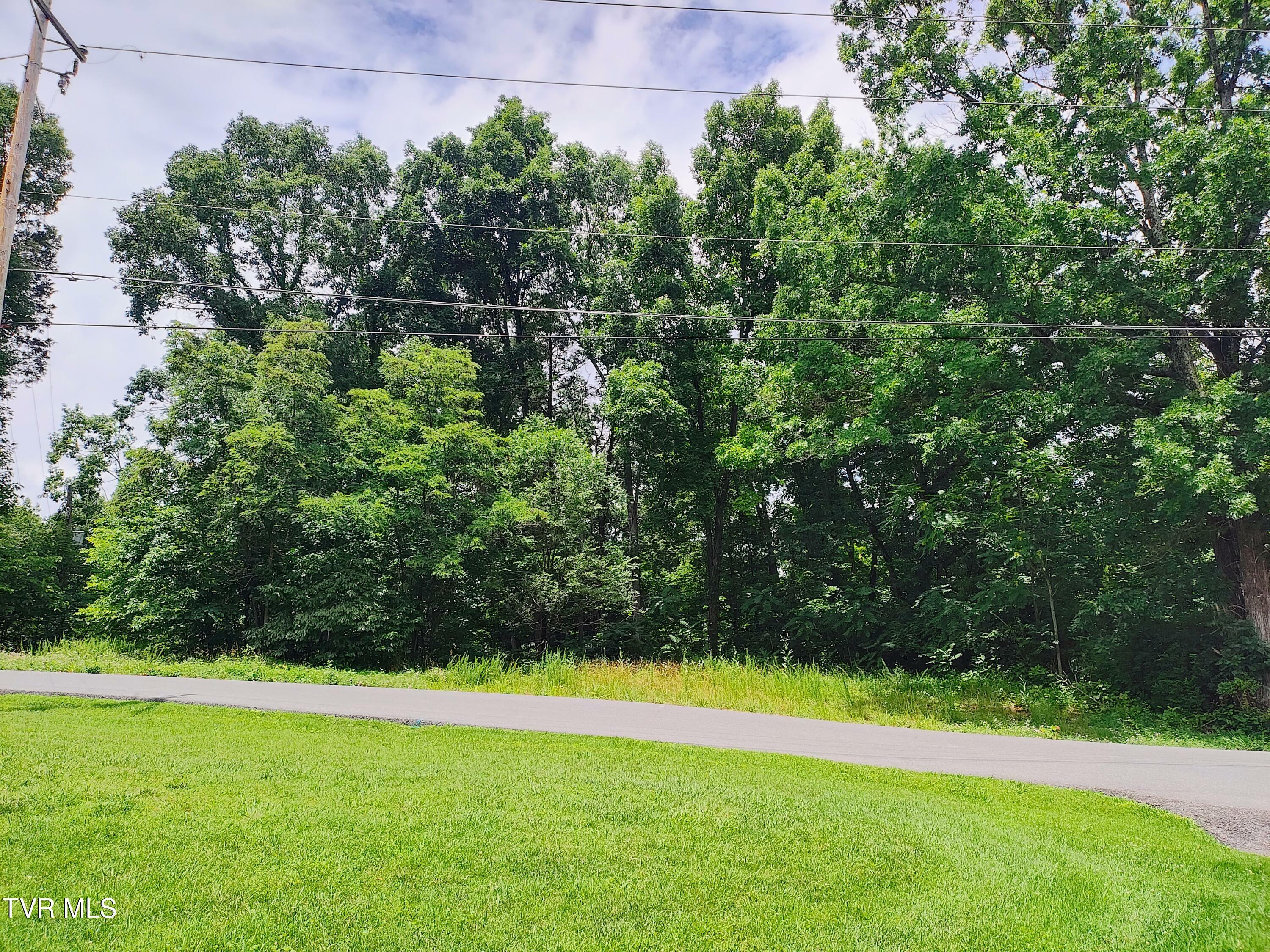 Property Photo:  Lot 2 Pond Springs W Road  TN 37664 