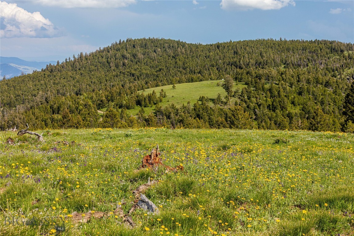 Property Photo: 10 Garnet Range Tract MT 59832