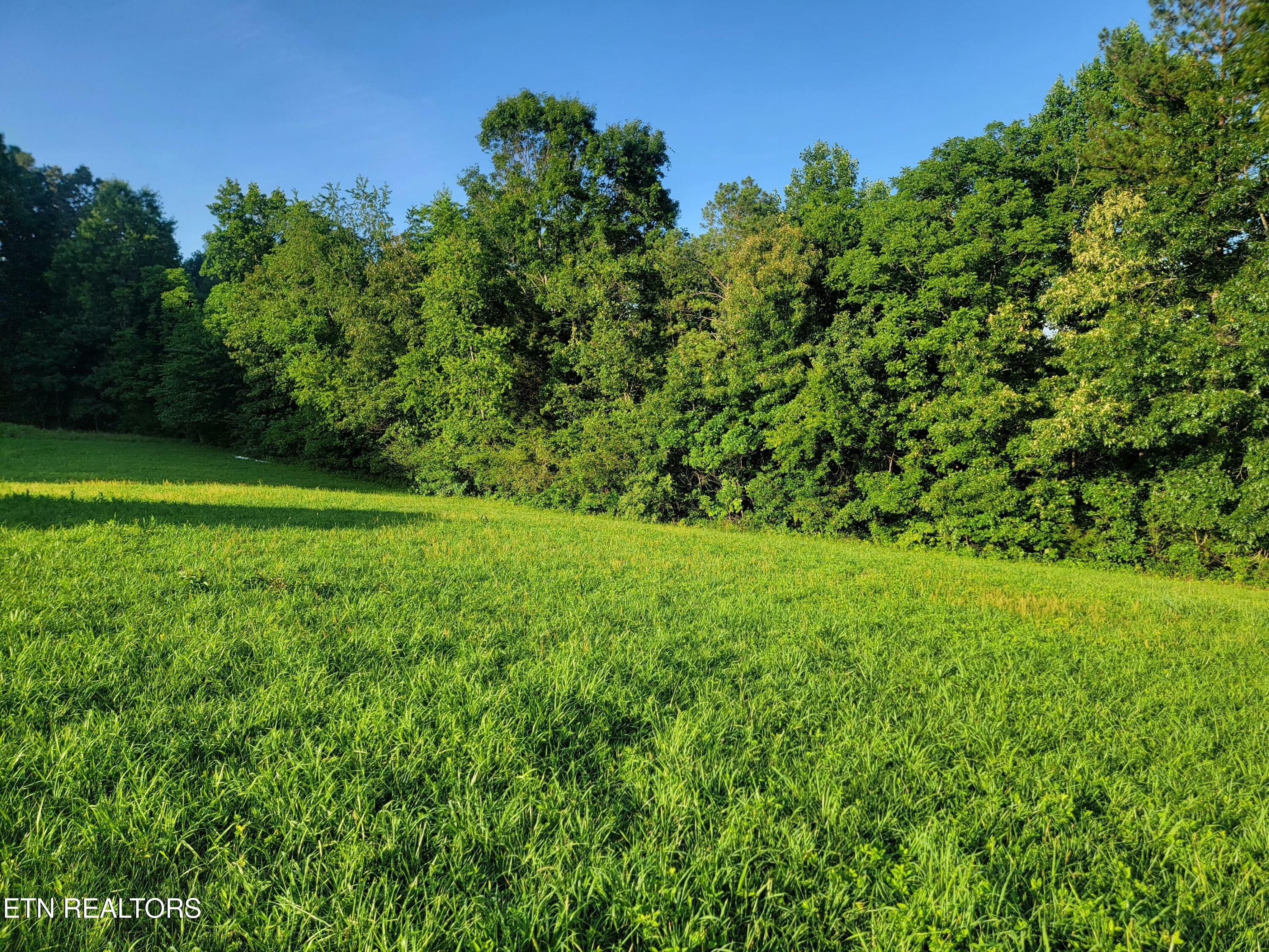 Property Photo: 11418 Watkins Rd TN 37774