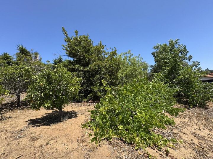 Property Photo: 2605 Kauana Loa Drive CA 92029