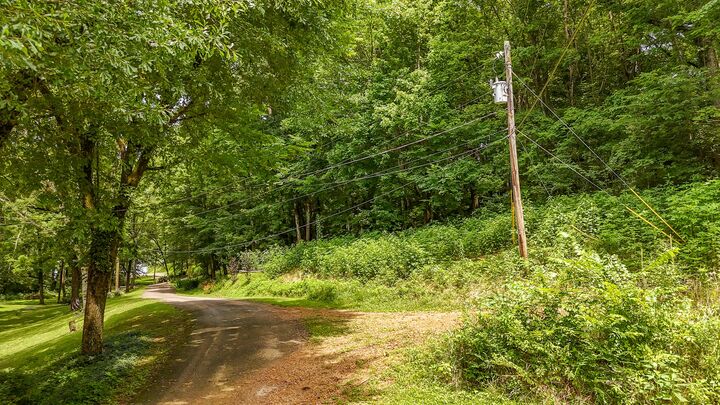 Property Photo:  0 Salt Ln  TN 38372 