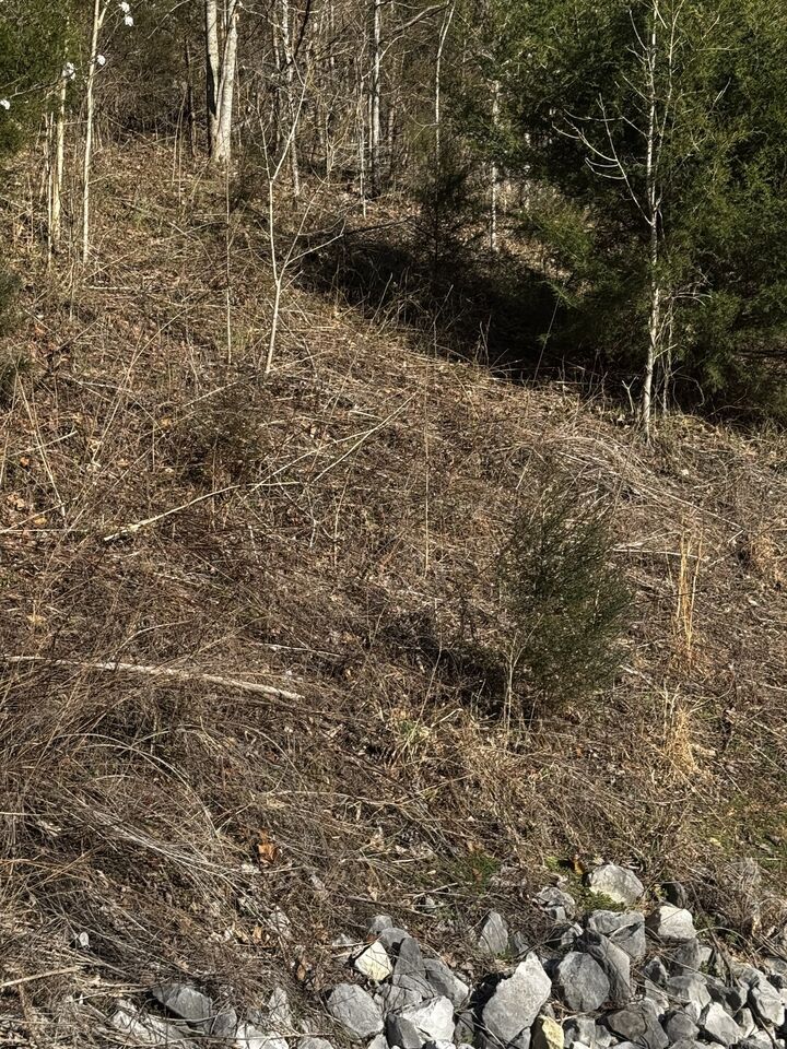 Property Photo:  92 Shoreside Dr  TN 37166 