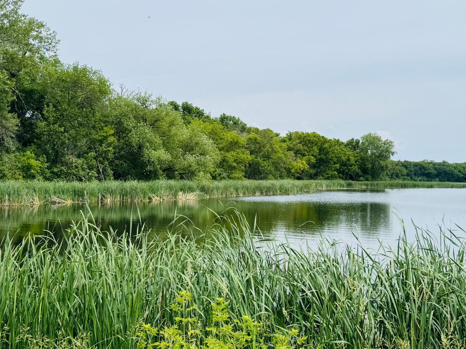 Property Photo:  21631 Kandi-Swift Road NW  MN 56289 