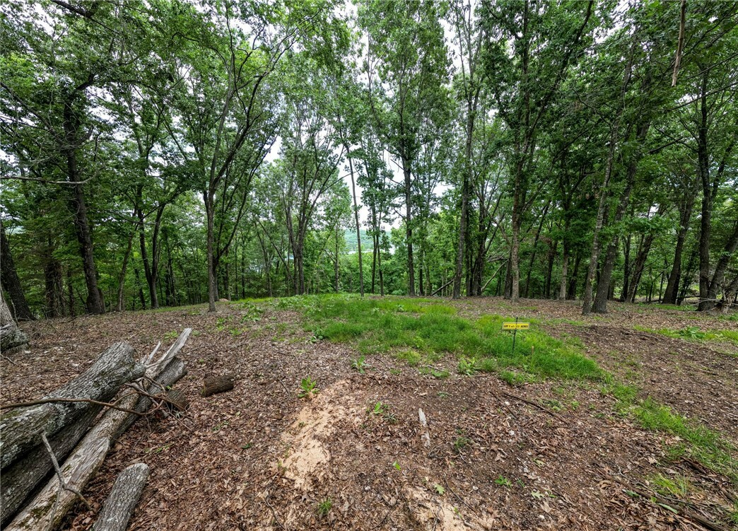 Property Photo: Tract 1 Cedar Rail Ridge Whispering Hills AR 72732