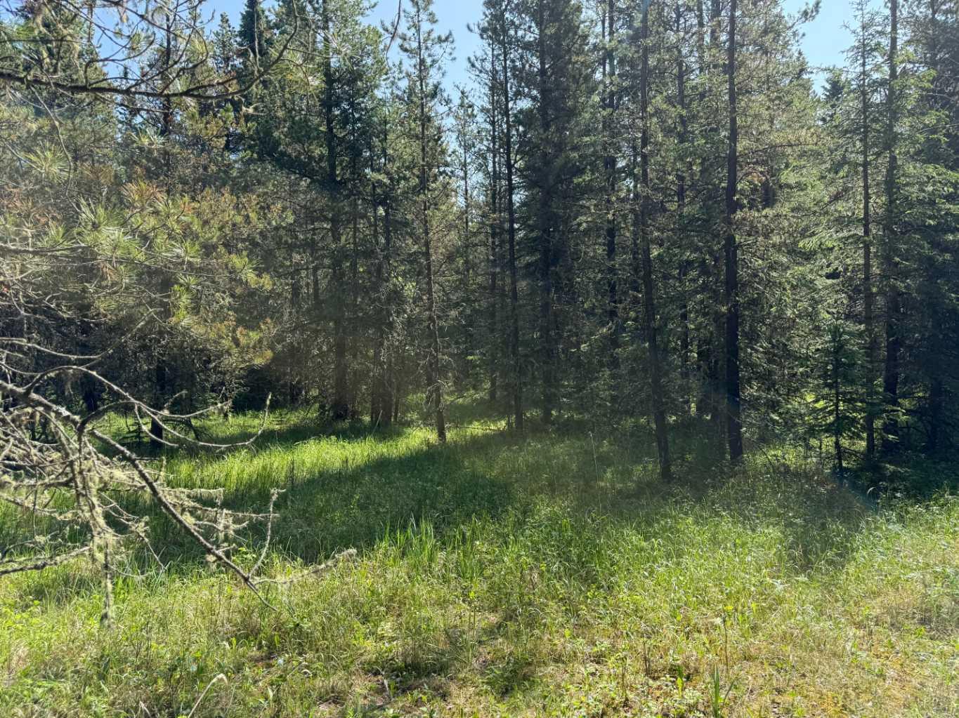 Property Photo: 282226 Range Road 54A AB T4C 2W1