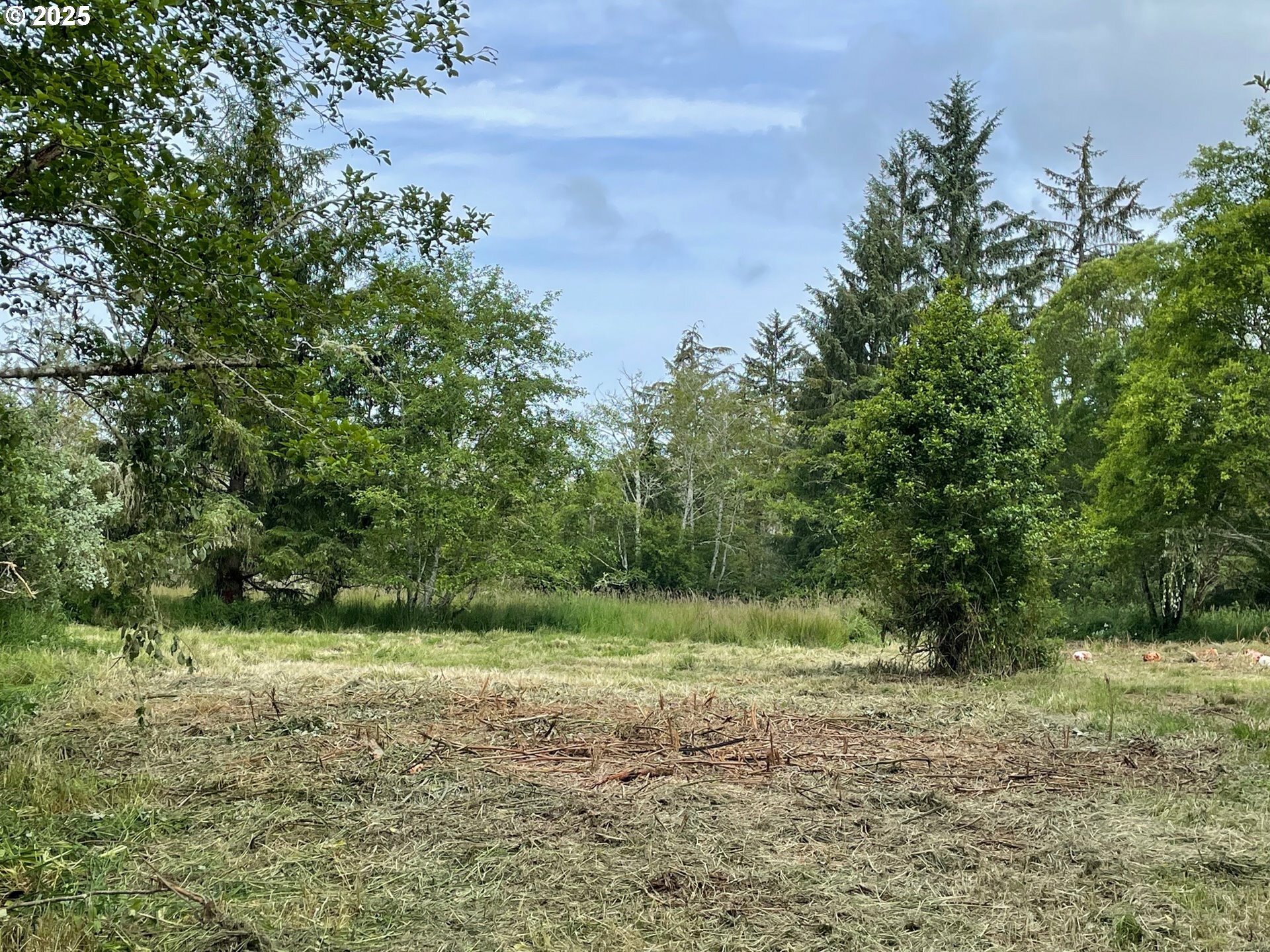 Property Photo:  Salminen Rd  OR 97138 
