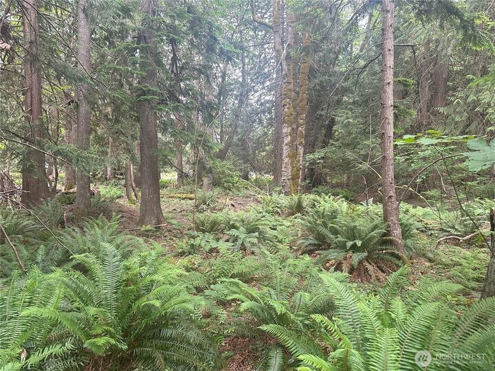 Property Photo: 0 Black Point Court WA 98320