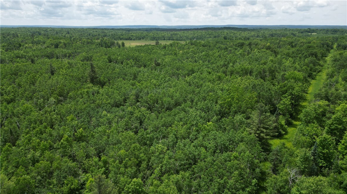 Property Photo:  80 Acres Off Of Hwy 40  WI 54867 