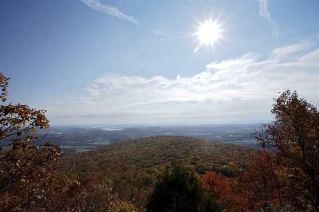 1180 Black Bear Trail  Evensville TN 37332 photo
