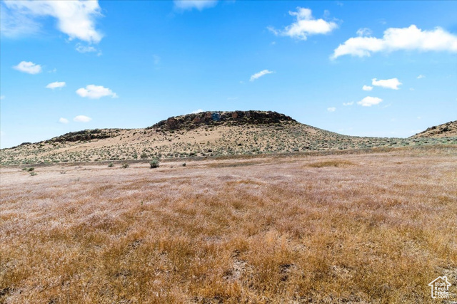 Unknown  Moroni UT 84646 photo
