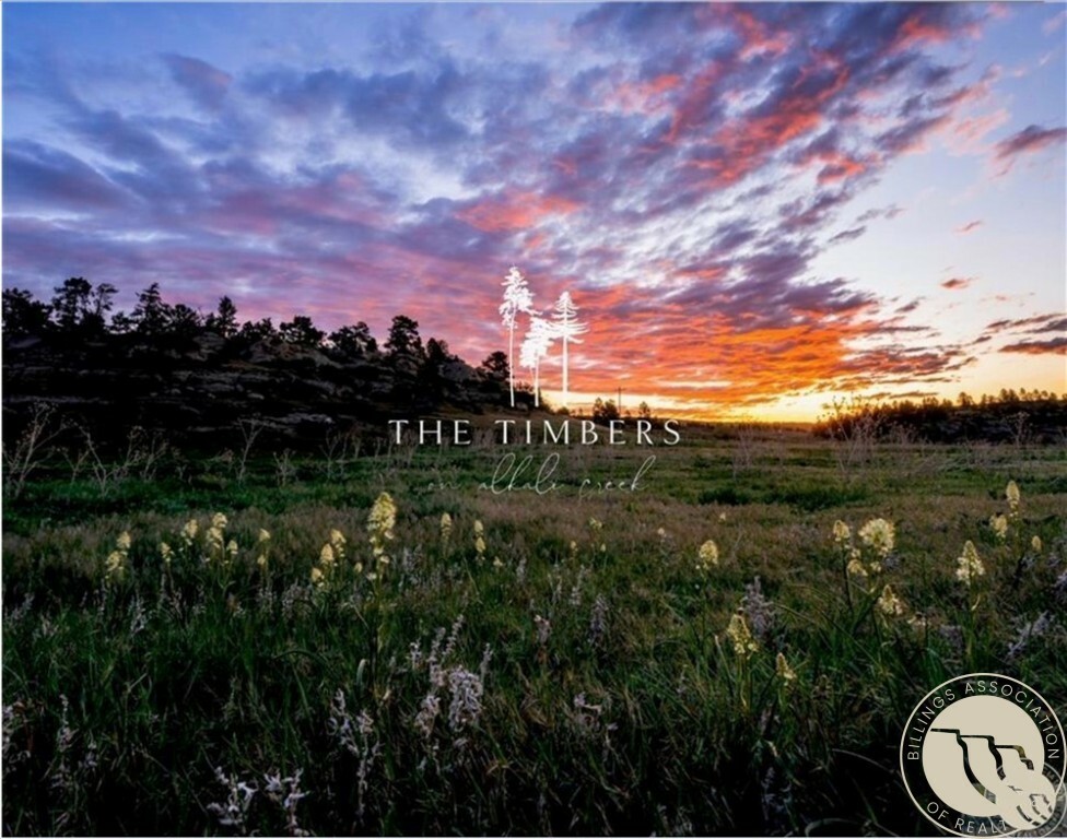 Lot 15 Black Fig Court  Billings MT 59105 photo