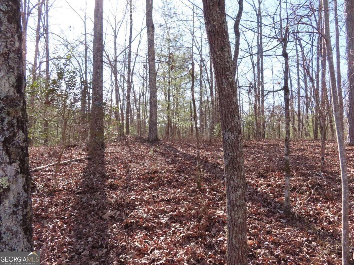 Property Photo: Lot 1906 Finale Street GA 30175