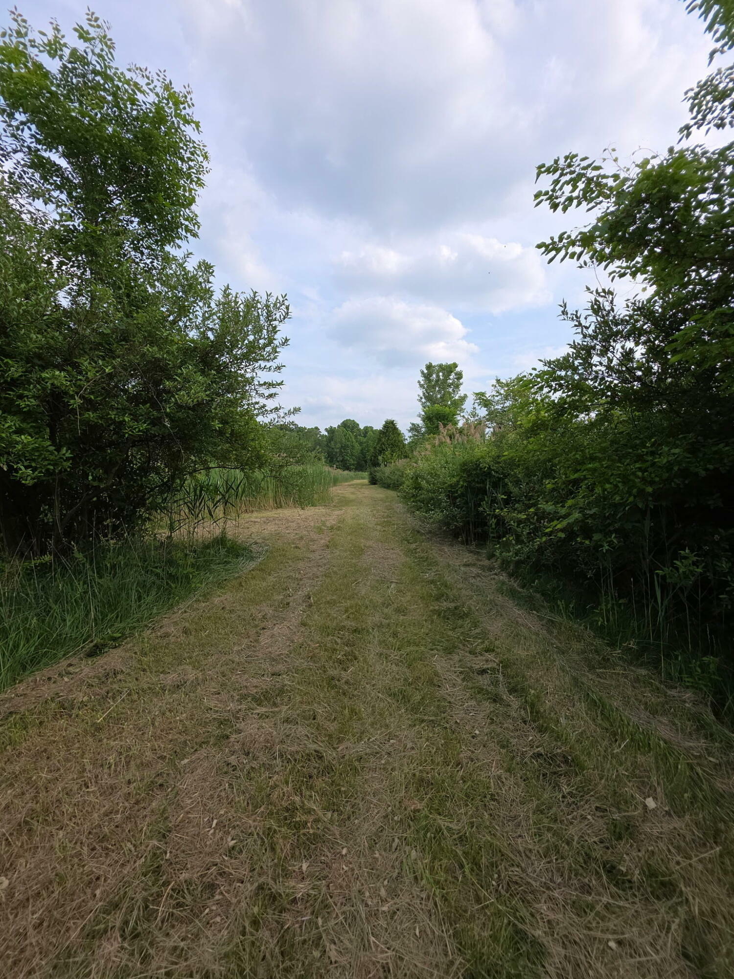 Property Photo: 11856 W Snyder Road IN 46391