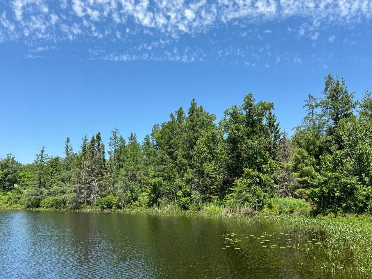 Property Photo: Lot 25 Creekside Ct WI 54547