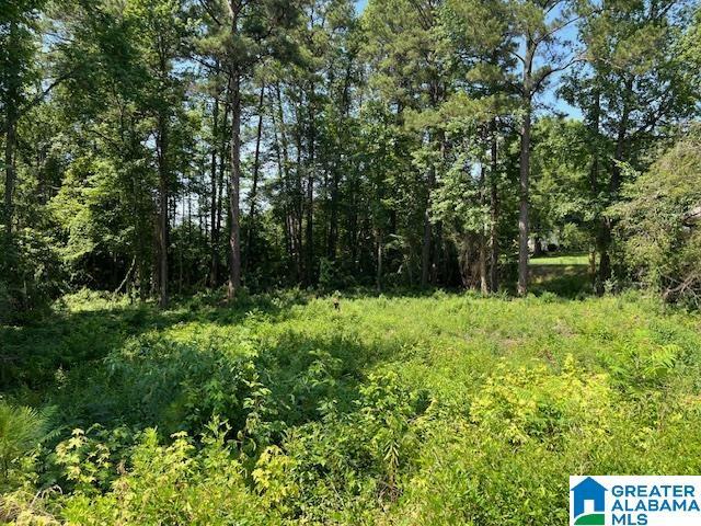 Property Photo: 7940 15th Street Road N/A AL 35023