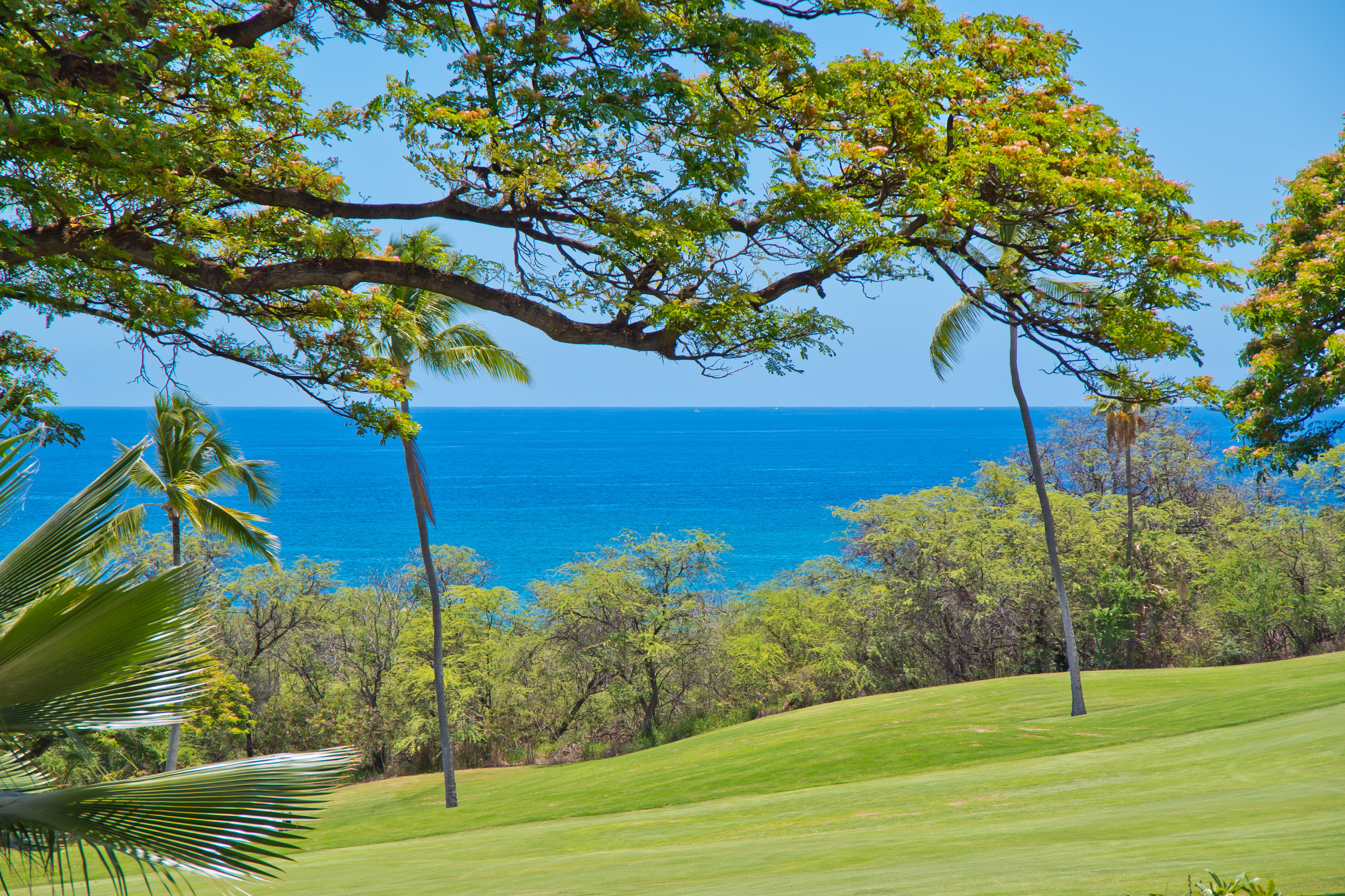 Property Photo: 78-7030 Alii Dr 405 HI 96740