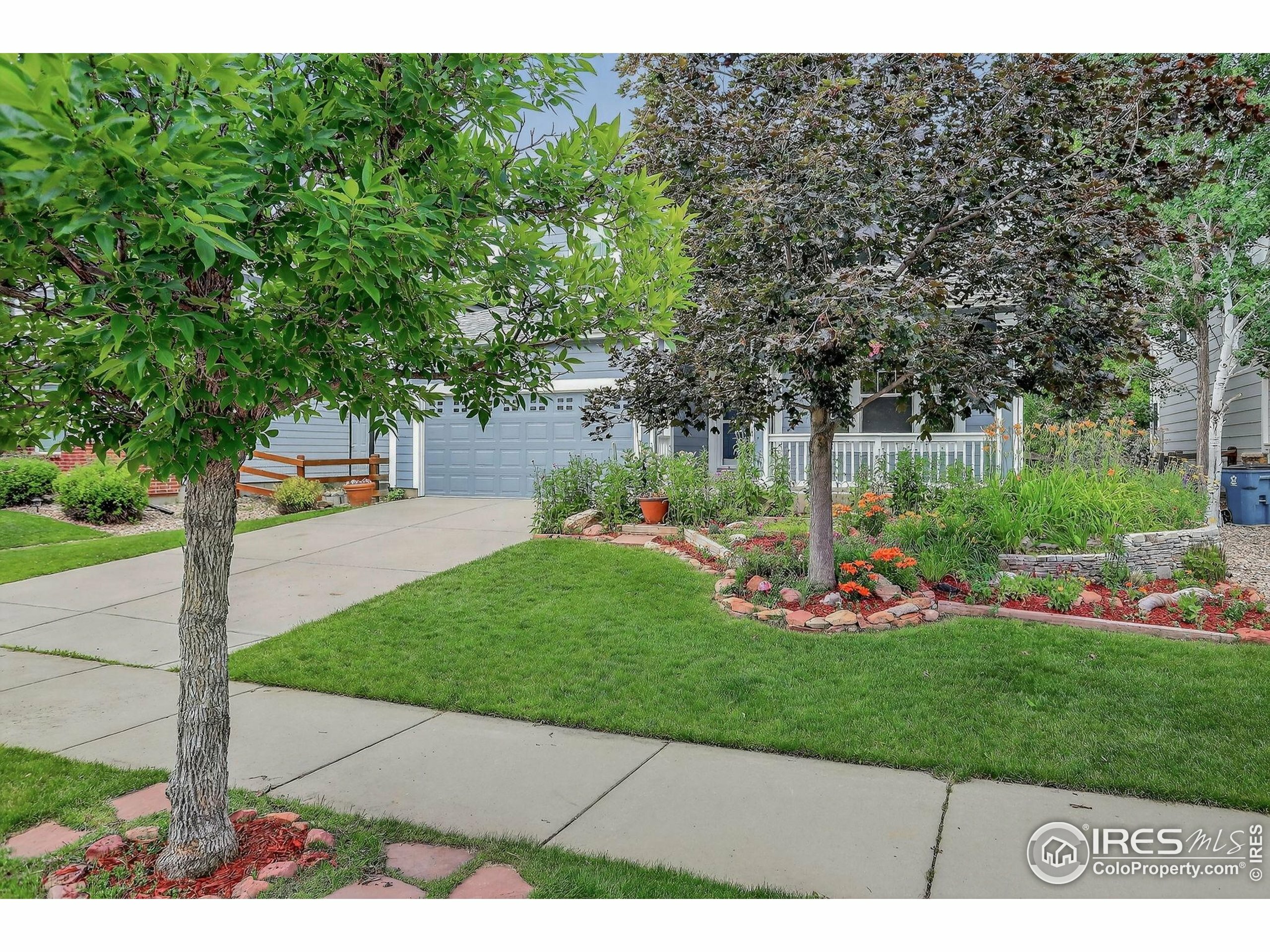 Property Photo: 940 Petras St CO 80516